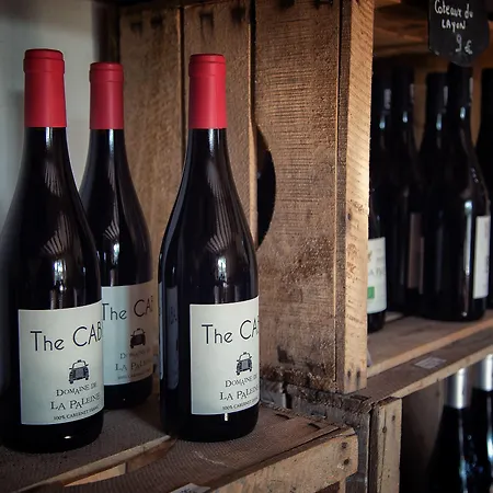 & Chai De La Paleine Le Puy-Notre-Dame