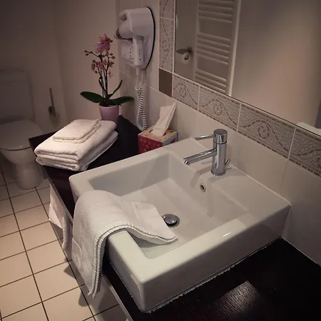 Hôtel&spa Chai De La Paleine Hotel 3*