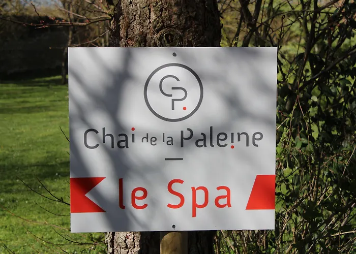 Hôtel&spa Chai De La Paleine Hotel 3*