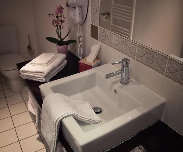 Hôtel&spa Chai De La Paleine Hotel Le Puy-Notre-Dame