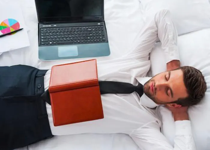 Hôtel&spa Chai De La Paleine 3* Le Puy-Notre-Dame