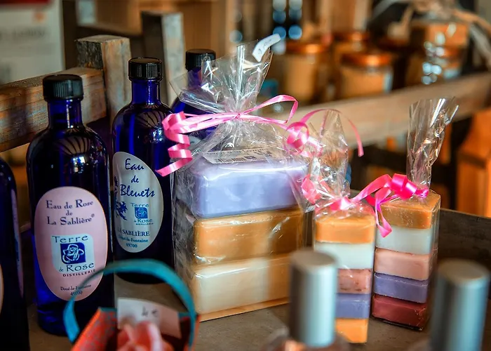 Hôtel&spa Chai De La Paleine 3*