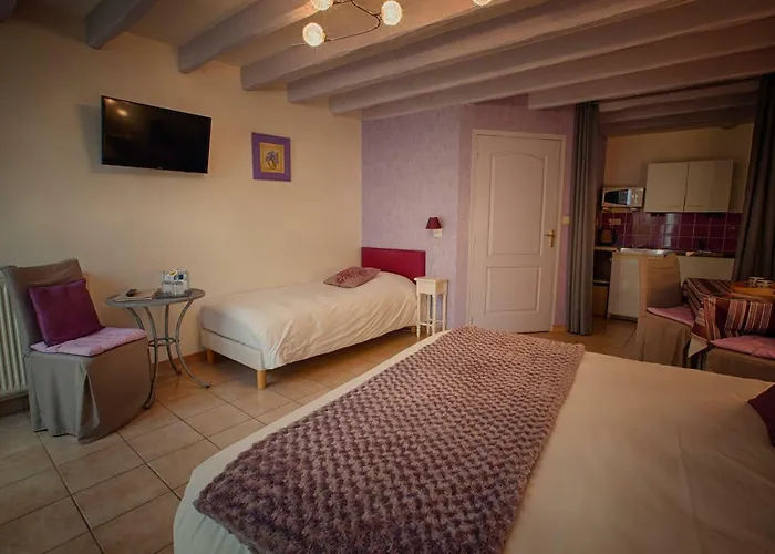 Hotel Hôtel&spa Chai De La Paleine 3*